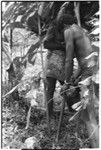 Ibaa, son of Larikeni, with stakes to ritually husk coconut