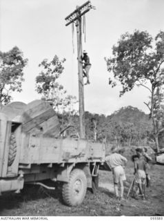 PORT MORESBY, NEW GUINEA, 1943-08-12. MEMBERS OF THE 26TH AUSTRALIAN LINE SECTION, NEW GUINEA LINES OF COMMUNICATIONS (SIGNALS) ERECTING AN OVERHEAD TELEPHONE LINE AT HEADQUARTERS, NEW GUINEA ..