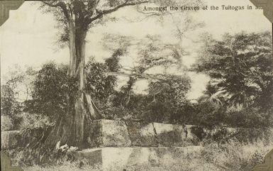 Tu'i Tonga (royal) tombs of Lapaha