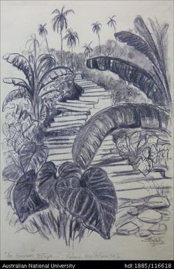 "The German Steps . . ." at Rabaul, New Britain PNG [also see image nos. 714 & 716]