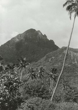 Pacific Islands - Cook Islands - Rarotonga - Scenics