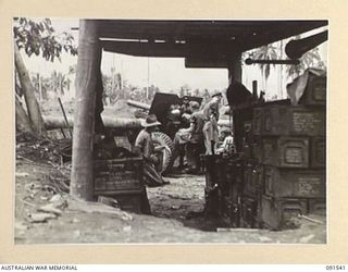 SORAKEN AREA, BOUGAINVILLE ISLAND. 1945-04-02. A GUN CREW OF C TROOP, 11 BATTERY, 4 FIELD REGIMENT IN ACTION WITH A 25 POUNDER GUN, VIEWED FROM THE AMMUNITION PIT. IDENTIFIED PERSONNEL ARE:- GUNNER ..