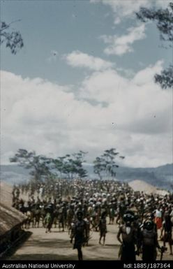 Large crowd of dancers