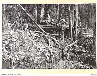 BOUGAINVILLE. 1945-05-22. A MATILDA TANK OF B SQUADRON, 2/4 ARMOURED REGIMENT, MAKING A DETOUR THROUGH SHRAPNEL TORN JUNGLE. NOTE THE JAPANESE TANK TRAP DUG ACROSS THE ROAD IN THE FOREGROUND. C ..