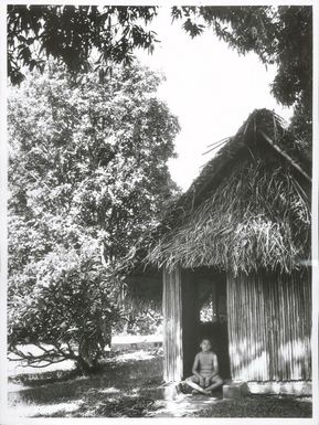 Pacific Islands - Cook Islands - Rarotonga - Housing