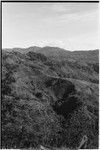 Bismarck Range mountains, view of garden fences from Babaimp