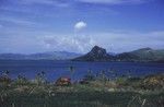 River Scene, Viti Levu, Fiji