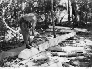 BANAK, AITAPE-WEWAK SECTOR, NEW GUINEA. 1945-04-21. SAPPER H. CLOSE, 2/1 FIELD COMPANY, ROYAL AUSTRALIAN ENGINEERS, CUTTING A LOG FOR SQUARING OFF, TO BE USED IN THE CONSTRUCTION OF URGENTLY NEEDED ..