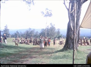 Lining up to vote