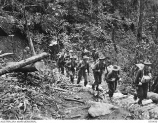 KANKIRYO SADDLE, FINISTERRE RANGE, NEW GUINEA, 1944-02-15. MEMBERS OF "B" COMPANY, 57/60TH INFANTRY BATTALION MOVING UP KANKIRYO SADDLE ALONG STEPS CUT BY THE 2/9TH BATTALION. "B" COMPANY IS ON THE ..