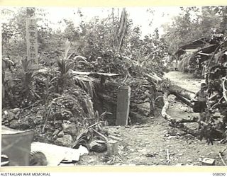KAKAKOG AREA, NEW GUINEA, 1943-10-02. RUINED BUILDINGS AND TREES IN BOMB DAMAGED AREA SHOWING JAPANESE SIGN AT THE LEFT