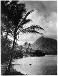 View of Pali from Coral Gardens in Coconut Island in Hawaii