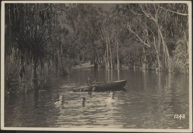 River in New Caledonia