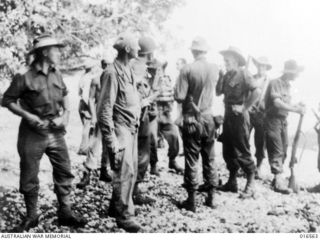 Huon Peninsula, New Guinea. 15 February 1944. The meeting of Australian troops moving along the coast from Sio and American troops who had advanced from Saidor. This linking of the two forces ..