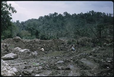 Arawa plantation being destroyed and town being built (2) : Bougainville Island, Papua New Guinea, March 1971 / Terence and Margaret Spencer