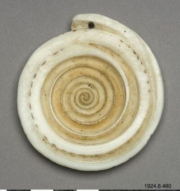 shell disc, sea shell disc