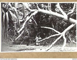 GODOWA, NEW GUINEA. 1943-11-05. PRIVATE FIRST CLASS (PFC) R. J. HOARD OF JAMESTOWN, US ARMY, (LEFT) AND PRIVATE FIRST CLASS S. A. BROSTEK OF PHOENIX, USA, (RIGHT) BOTH OF THE UNITED STATES 102ND ..