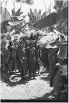 Pig festival, singsing, Kwiop: decorated men with feather headdresses are displayed to women