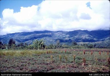 Looking South from Gwaip