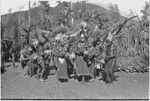 Pig festival, pig sacrifice, Kwiop: inside ritual fence, men prepare to distribute bundles of salted pork (right) to allies