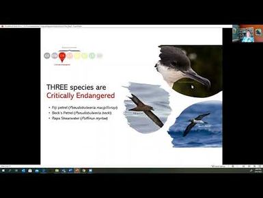 31 Baird KA Seabird Action Plan Oceania