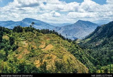 Lufa Road - 11 miles to Lufa, looking towards Goroka