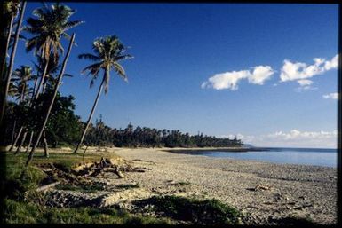 North along beach