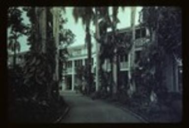 YWCA Honolulu, The Residence, Fernhurst, exterior, grounds, entrance driveway