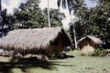 French Polynesia, thatched-roofed home on Tahiti Island