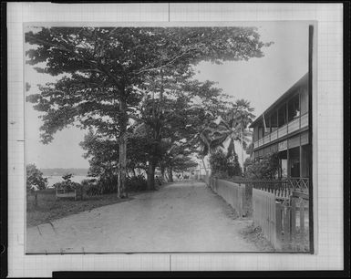 The beach road, Apia, Samoa - Photograph taken by Alfred John Tattersall