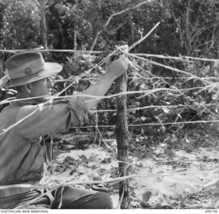 GOODENOUGH ISLAND, NEW GUINEA. 1942-10. IMITATION BARBED WIRE ENTANGLEMENTS MADE FROM JUNGLE CREEPERS. THE ISLAND WAS SEIZED BY A SMALL FORCE OF AUSTRALIANS AND BY BLUFF AND DECEPTION THEY LED THE ..