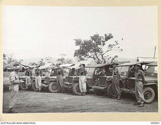 CAPE WOM, WEWAK AREA, NEW GUINEA. 1945-08-31. THE LINE-UP OF TRANSPORT SECTION, HEADQUARTERS ROYAL AUSTRALIAN ENGINEERS 6 DIVISION WITH THEIR JEEPS