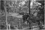 Pig festival, stake-planting, Tuguma: procession of Tuguma allies