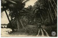 78. - Tahiti. - En route pour TautiraEn route for Tautira