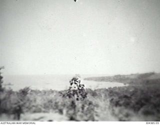 ORO BAY, NEW GUINEA. 1943. VIEW OF THE BAY FROM THE NAVY CAMP. (NAVAL HISTORICAL COLLECTION)