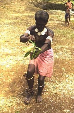 Ben Burt Malaita PhotosStanley Ri'omea in ornaments demonstrating sango dance