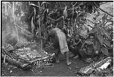 Bride price for Maima, food preparation: bundle of blood pudding cooked on spit over fire, note bundles of pork at right