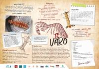 15. Poster Varo (tahitien)