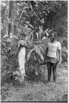 Ubuni (Folofo'u's youngest son) of Kwailala'e at wayside shrine