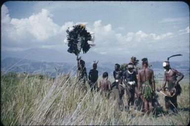 Some of the bride's party with the bride price and the presentation pig : Wahgi Valley, Papua New Guinea, 1955 / Terence and Margaret Spencer