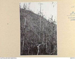 WEWAK AREA, NEW GUINEA, 1945-06-28. A GENERAL VIEW SHOWING THE DEVASTATION CAUSED ON MOUNT SHIBURANGU BY ARTILLERY, MORTAR AND AIR STRIKES. THE AREA IS NOW OCCUPIED BY C COMPANY, 2/8 INFANTRY ..