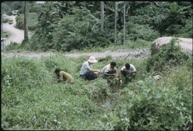 Looking for anopheline mosquito larvae : Bougainville Island, Papua New Guinea, April 1971 / Terence and Margaret Spencer