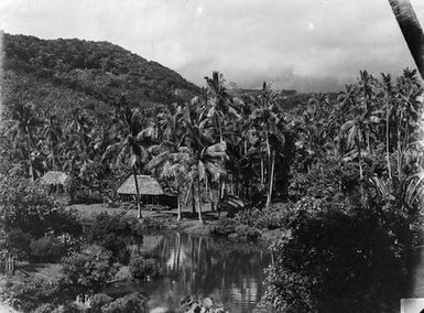 [Tropical landscape with a Pacific Island dwelling]