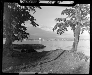 Apia waterfront, Upolu, Samoa, showing trees in the foreground and buildings in the distance