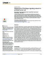 Mapping the STK4/Hippo Signaling Network in Prostate Cancer Cell