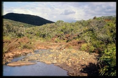 Maquis and stream