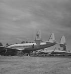 South Pacific Airlines Constellation and TAI DC7 at Tahiti airport