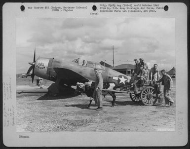 Pilots Of The 19Th Fighter Squadron, 319Th Fighter Group, Use This Oxen And Cart To Carry Them To And From Their Planes. Here One Of The Pilots Sits In The Cockpit Of His Republic P-47 Thunderbolt 'Bis Squaw' After Being Transported By The Cart. Saipan, (U.S. Air Force Number 65283AC)