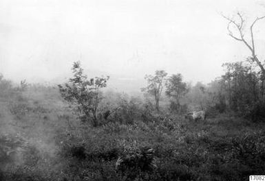 ["landskap, berg, by, skog, fotografi, photograph"]