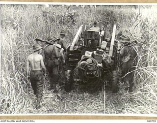 RAMU VALLEY, NEW GUINEA. 1943-11-26. A BULLDOZER HAULED A LIGHT 25 POUNDER GUN OF NO. 8 BATTERY, 2/4TH AUSTRALIAN FIELD REGIMENT ALONG A TRACK THROUGH TALL KUNAI GRASS